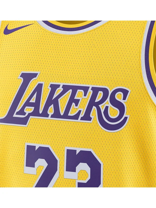 Los Angeles Lakers Domicile Icon Player