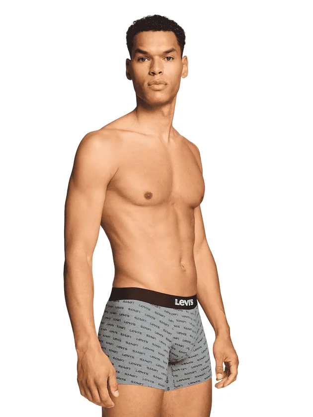 Logo Aop Boxer Brief 2P