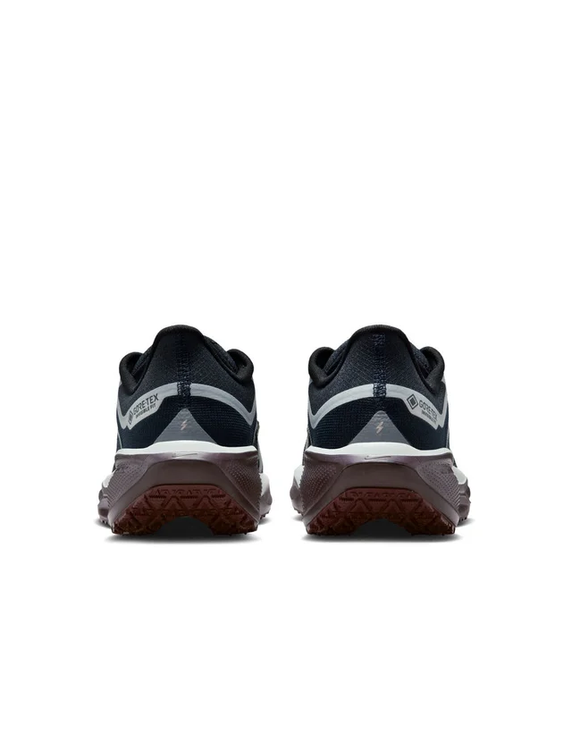 Air Zm Pegasus 41 GTX
