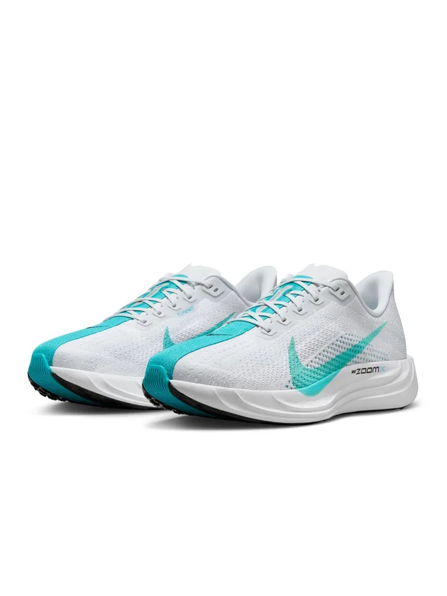 Pegasus Plus