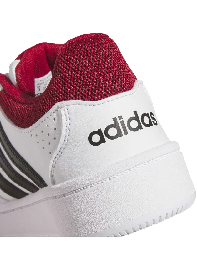 Hoops Classic
