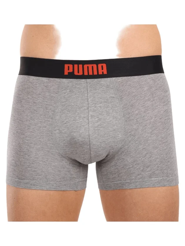 Everyday Placed Logo Boxers 2P