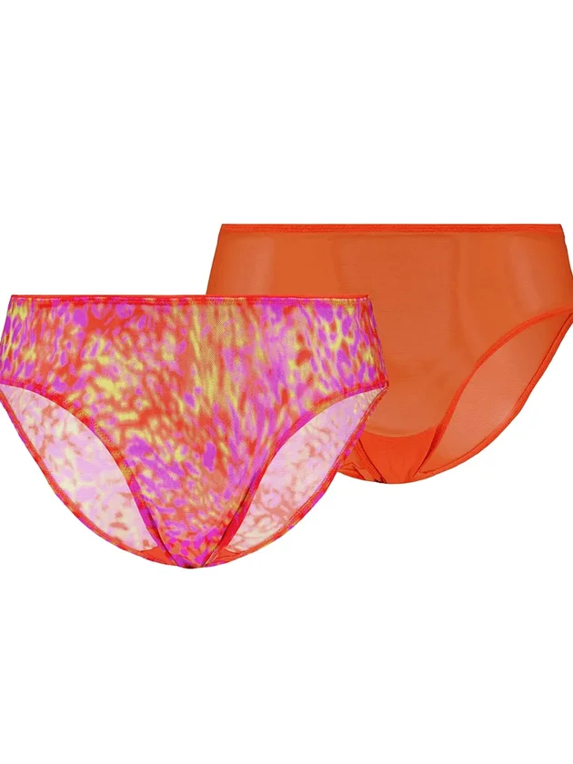 Printed Mesh Briefs 2P