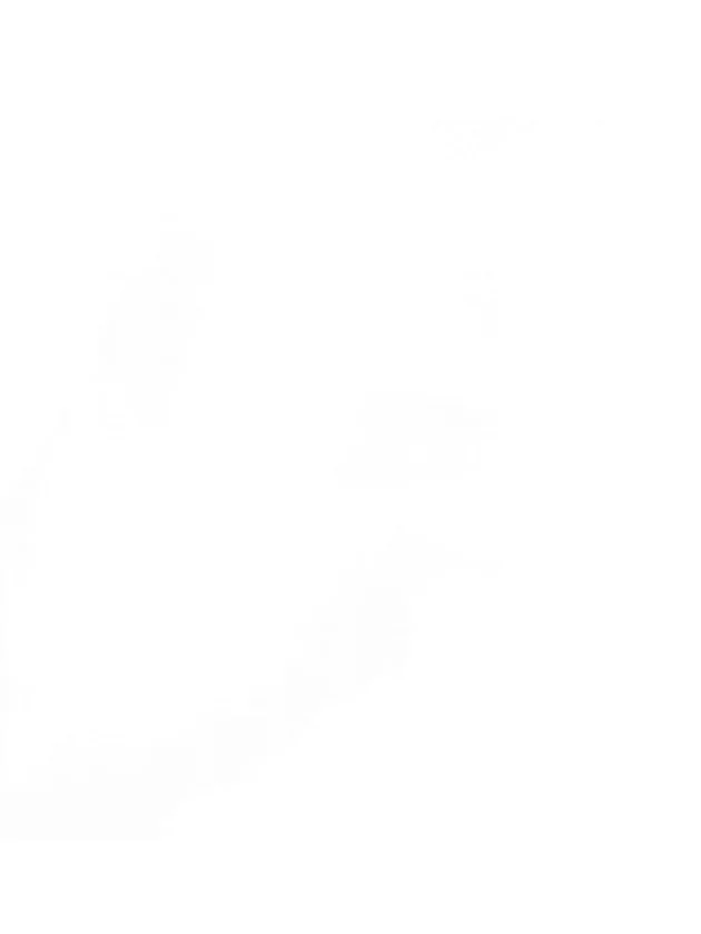 Polo French Teams