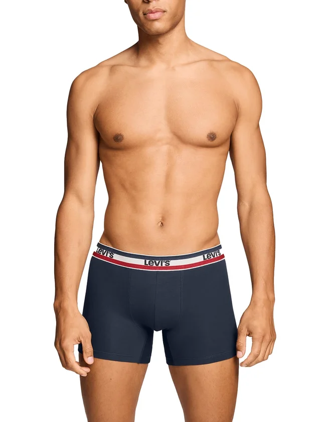 Repeat Spw Logo Boxer Brief 2P
