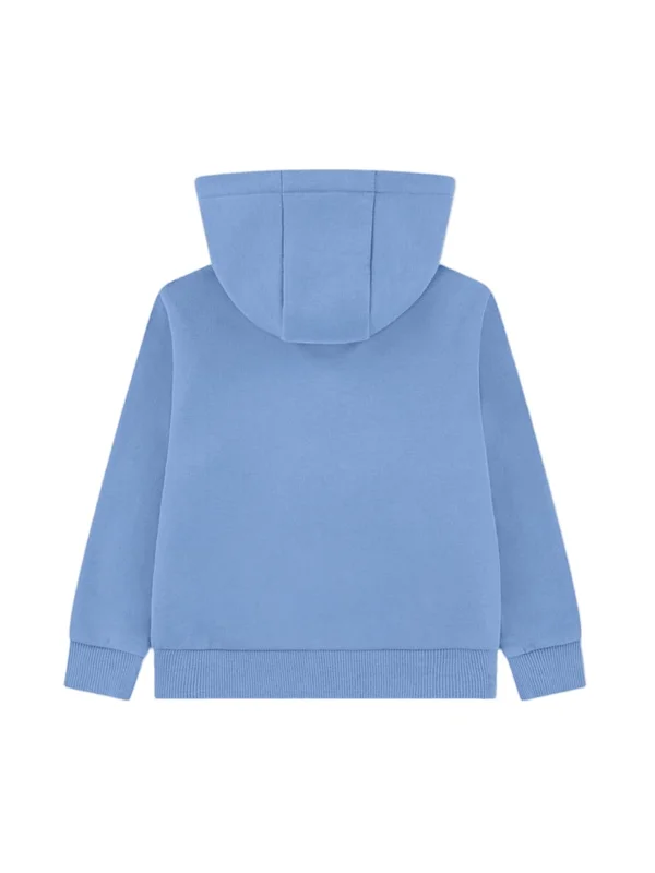 Color Block Hoodie