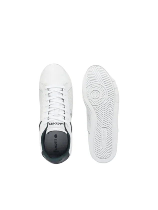 Lite Base 224 1