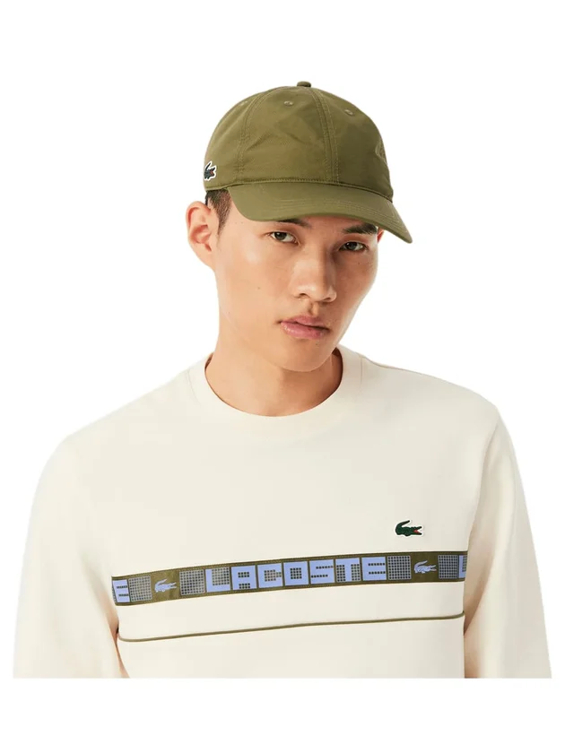 Technical Capsule
