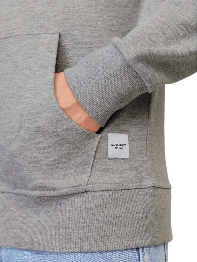 Basic Sweat Zip Hood Noos
