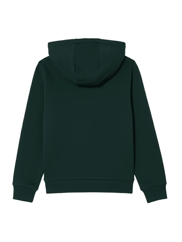 Core Fleece Pullover Hoodi