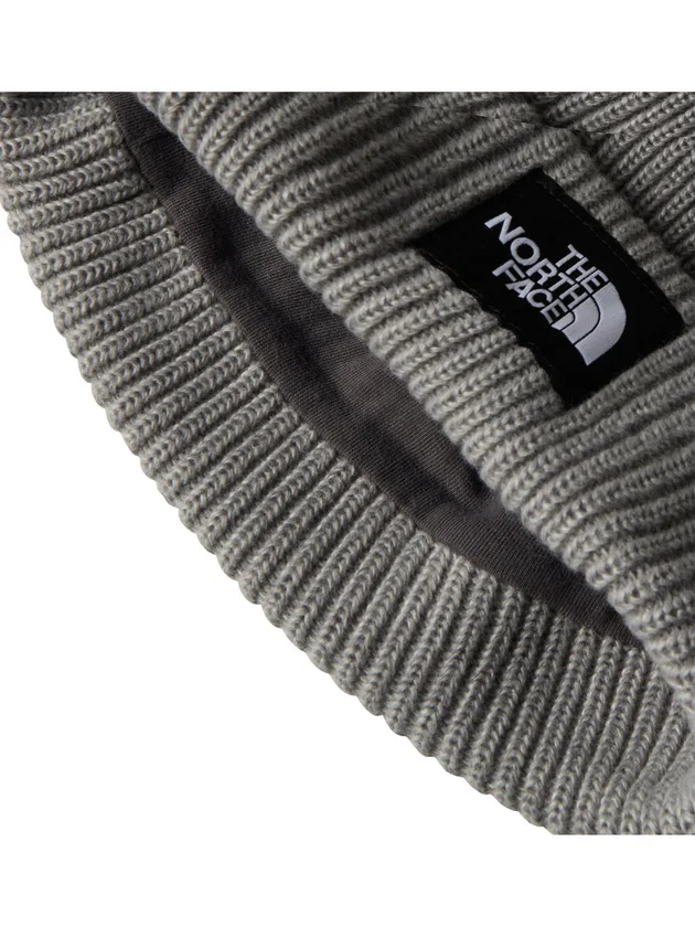 Salty Lined Beanie
