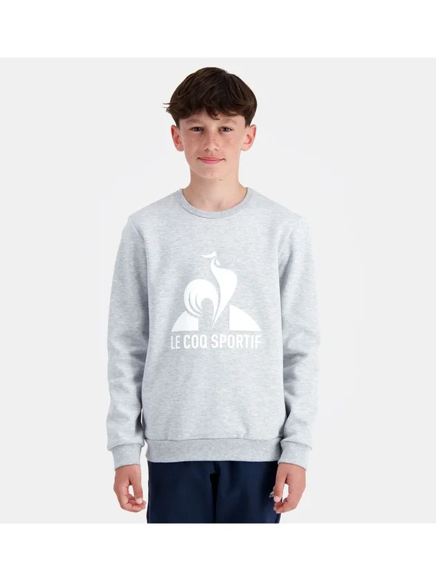 Ess Crew Sweat N3