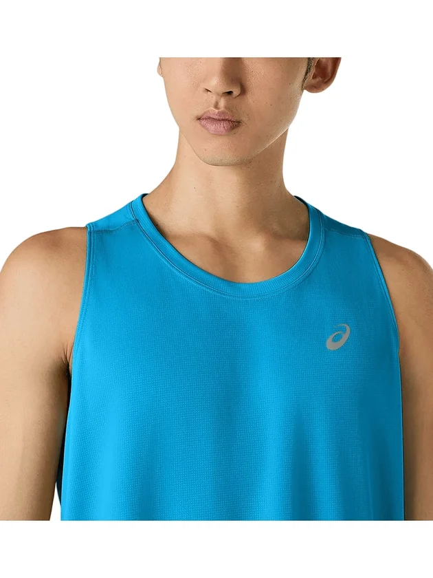Core Singlet