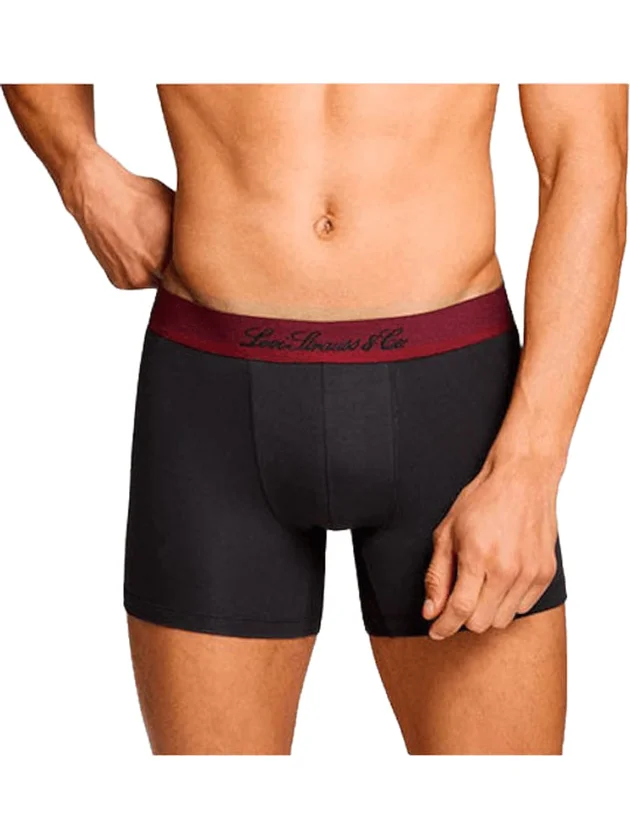 Wstrn Icon Aop Boxer Brief 2P