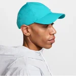 DUSTY CACTUS/METALLIC SILVER