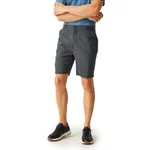 SEAL GREY