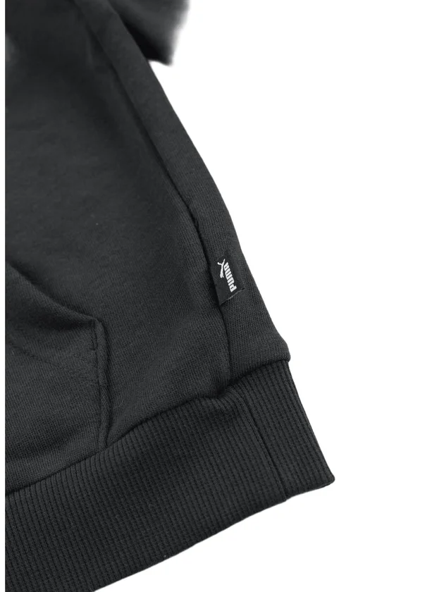 Ess+ Logo Lab Hoodie