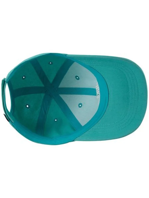 Futura Curve Brim Cap