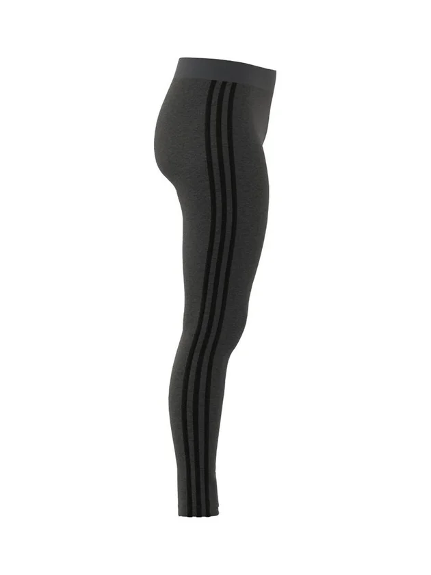 3S Leg