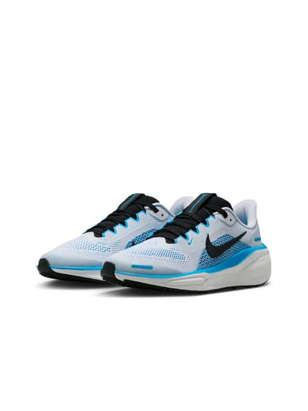 Air Zoom Pegasus 41