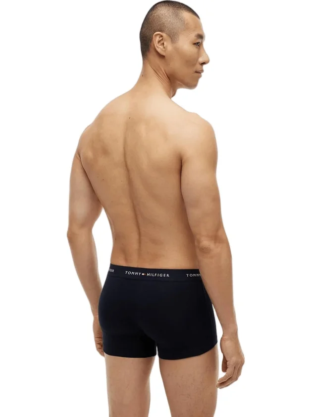 3P WB Trunk