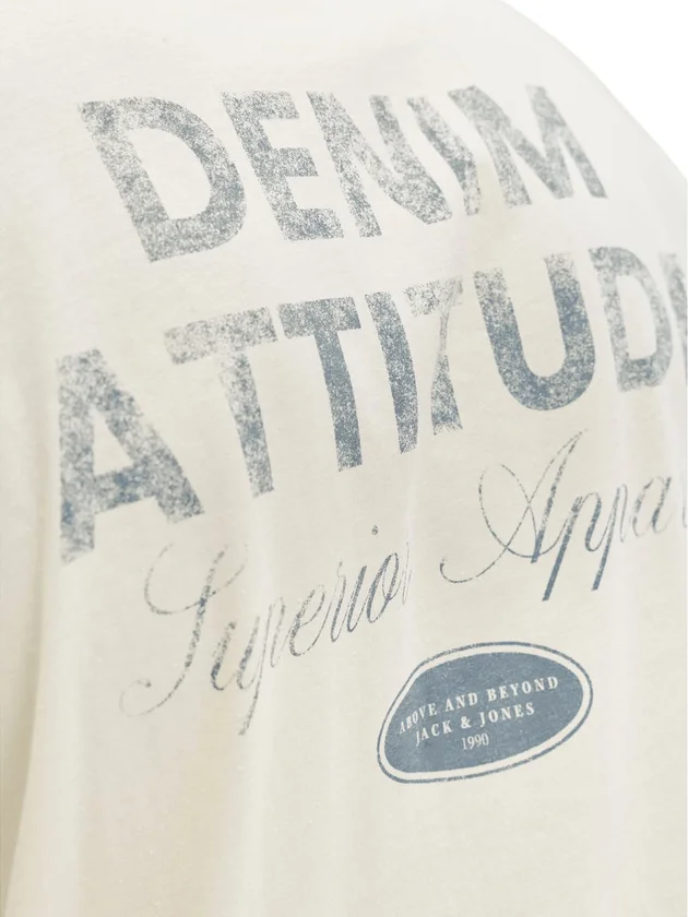 Jjedover Graphic Tee Ss Crew Neck Sn