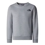 TNF LIGHT GREY HEATHER