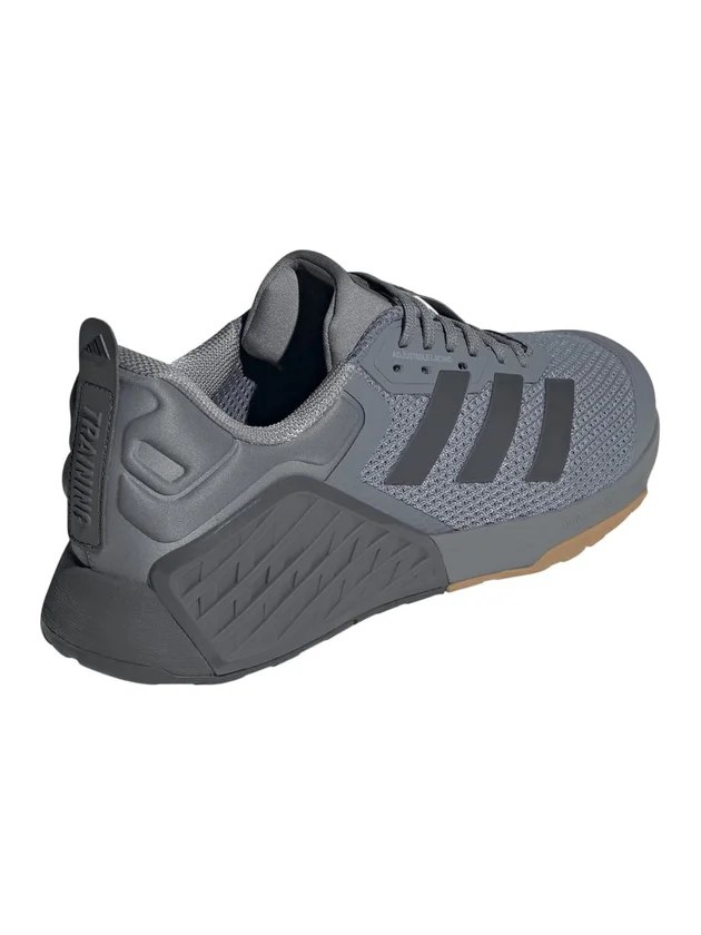 Dropset 3 Trainer