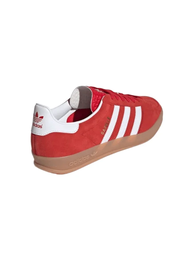 Gazelle Indoor