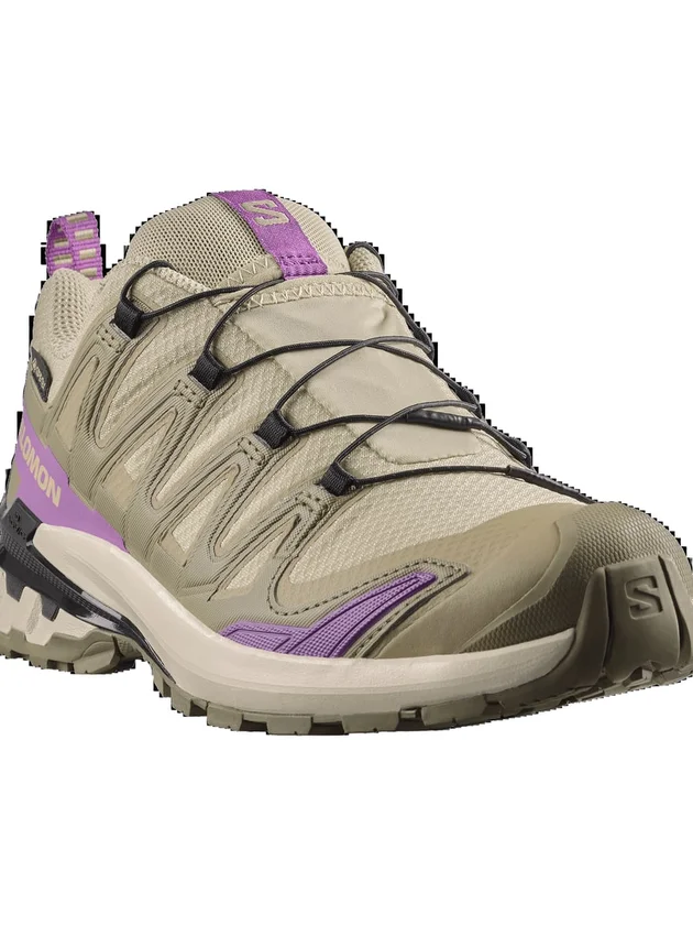 Xa Pro 3D V9 Gore-Tex