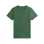 SPRING OLIVE