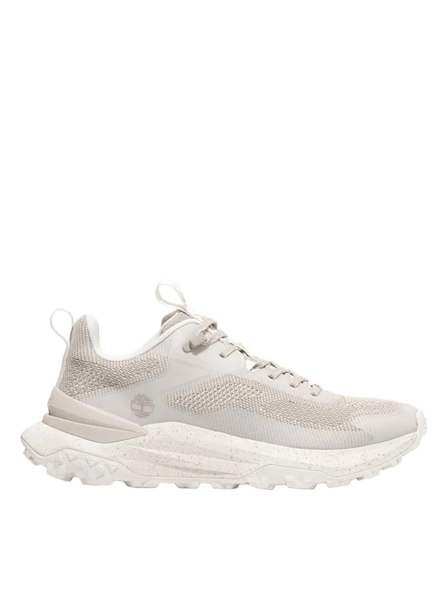 Low Lace Up Sneaker