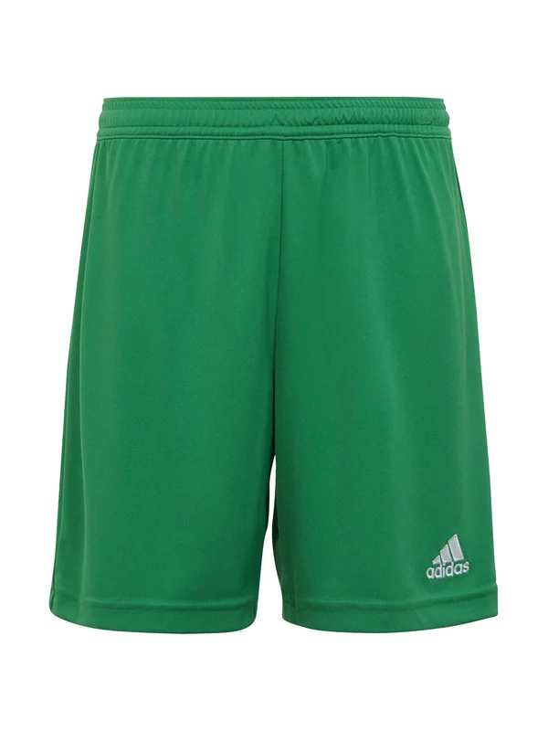 Entrada 22 Short