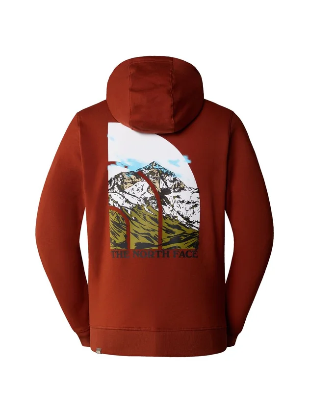 Sweat à capuche homme THE NORTH FACE Seasonal Graphic, confort et style