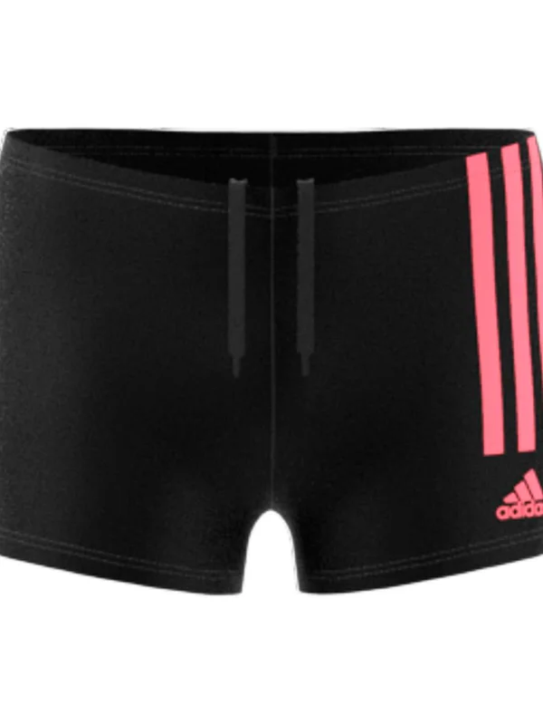 3S Brief