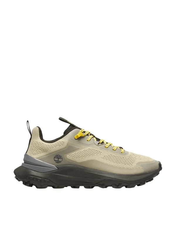 Low Lace Up Sneaker