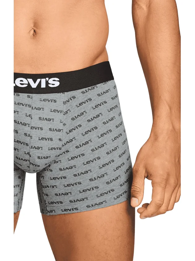 Logo Aop Boxer Brief 2P