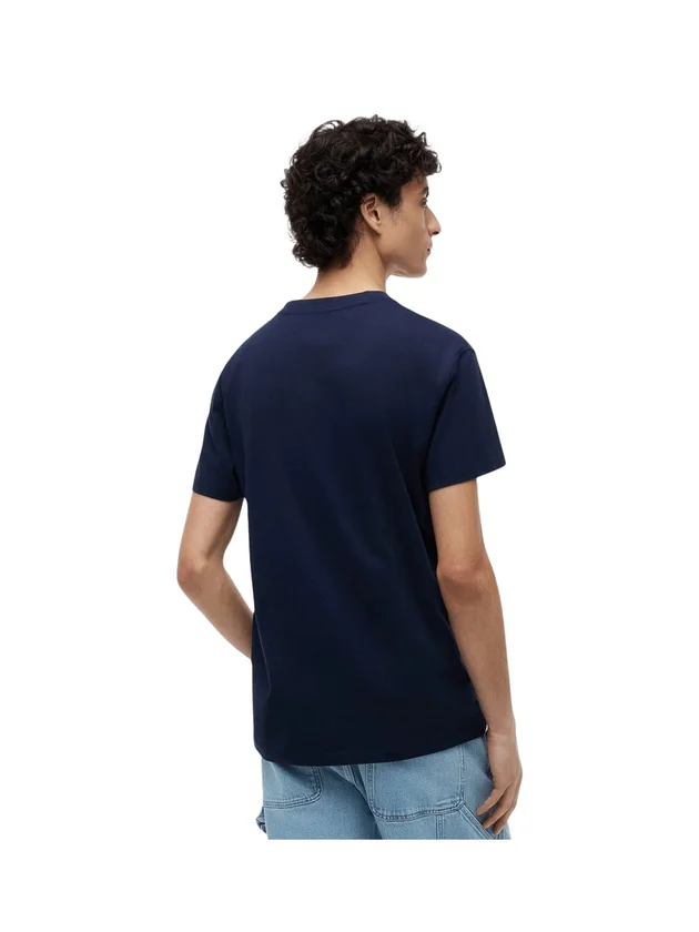 Tjm Reg Sflag Ss Tee