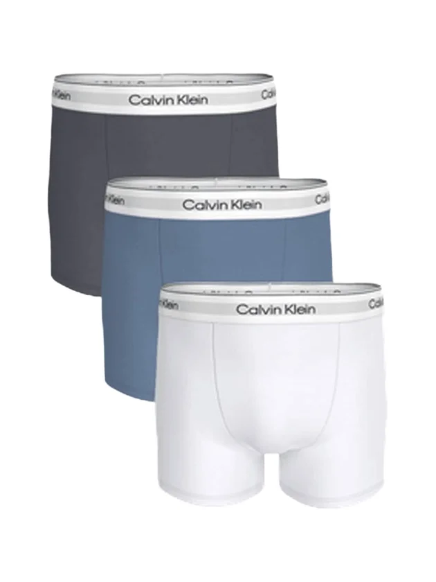 Relaxed Fit Trunk 3P