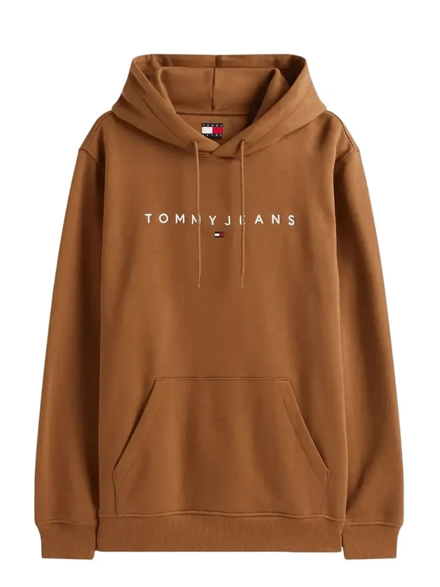 Reg Linear Logo Hoodie Ext