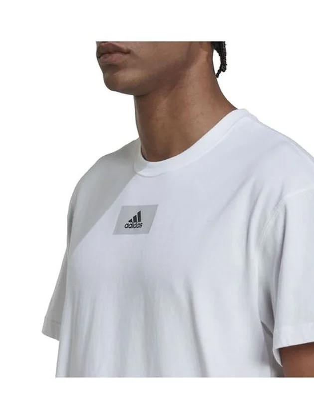 FV T