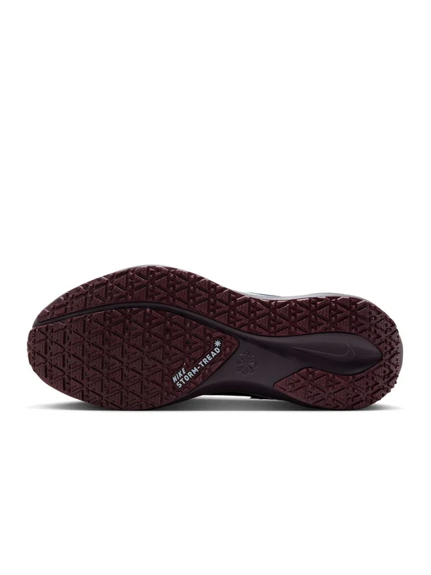 Air Zm Pegasus 41 GTX