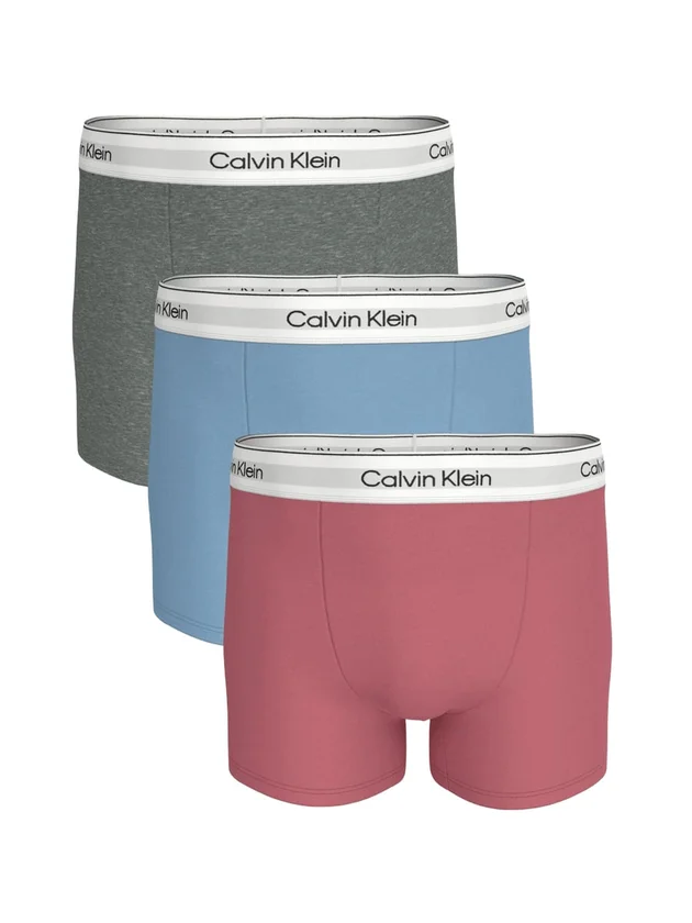 Relaxed Fit Trunk 3P