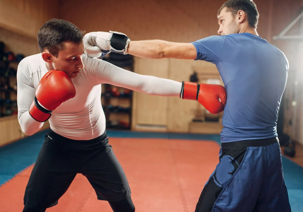 Vêtements de boxe