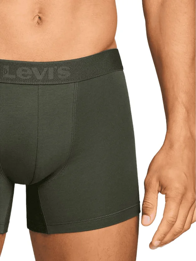 Twill Wb Boxer Brief 2P