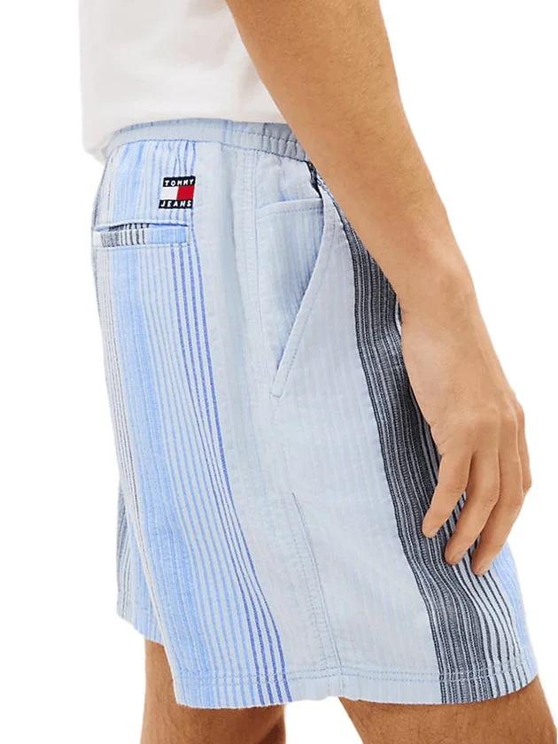 Textured Stripe Short Ext