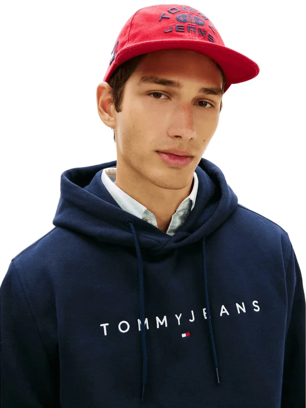 Reg Linear Logo Hoodie Ext