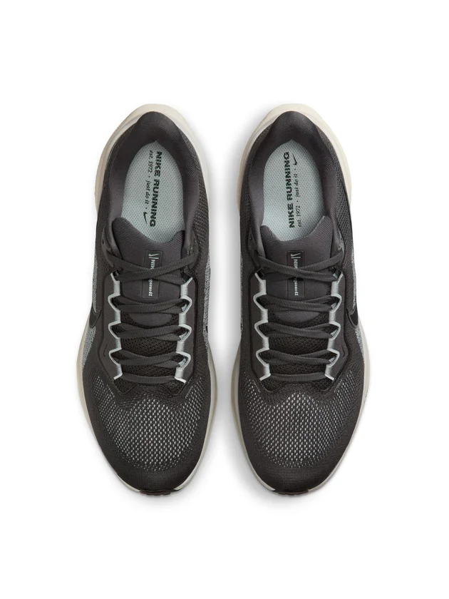 Air Zoom Pegasus 41
