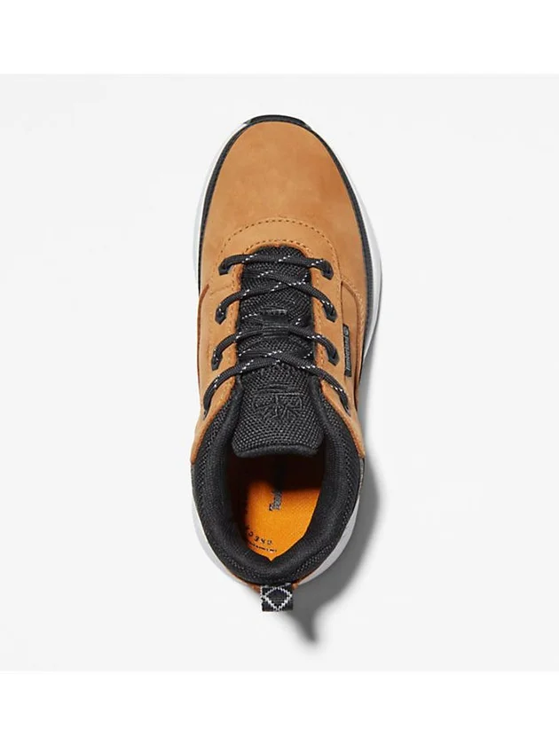 Field Trekker Low Lace Up Sneaker