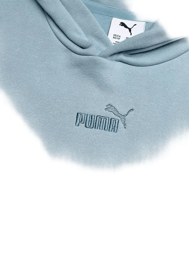 Ess Small No1 Logo Centered Hoodie Fl B